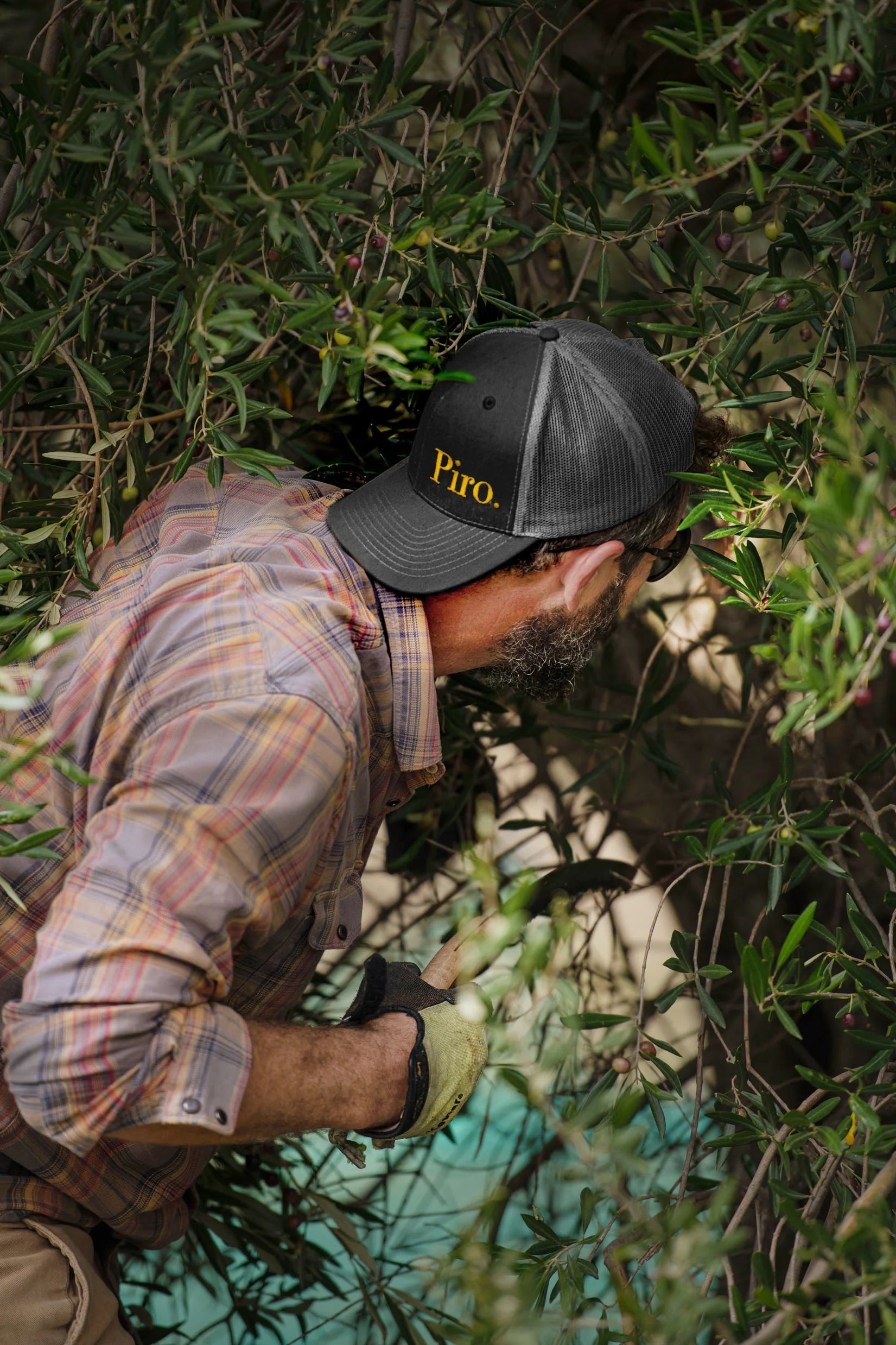 The Piro Harvest Cap